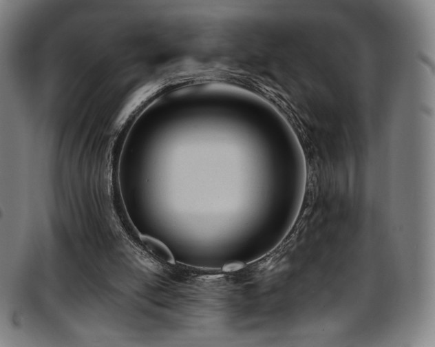 X0000097790054200803071421
