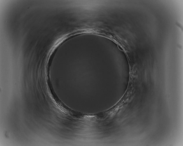 X0000097790055200803071421