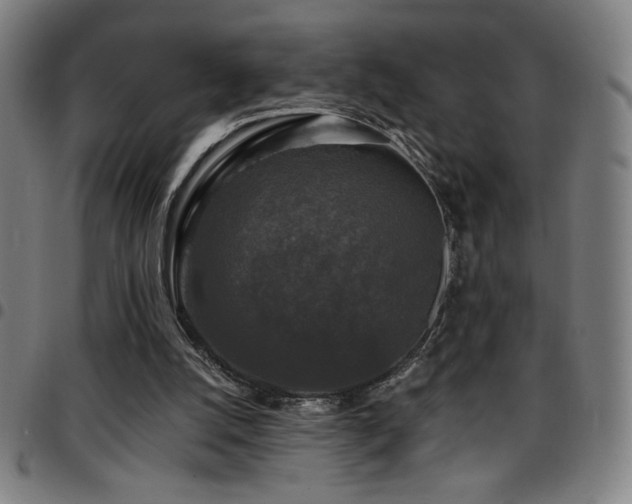 X0000097790056200803071421