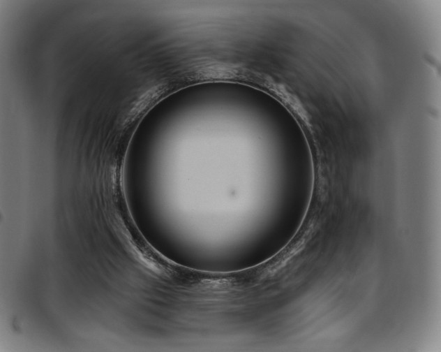 X0000097790057200803071421