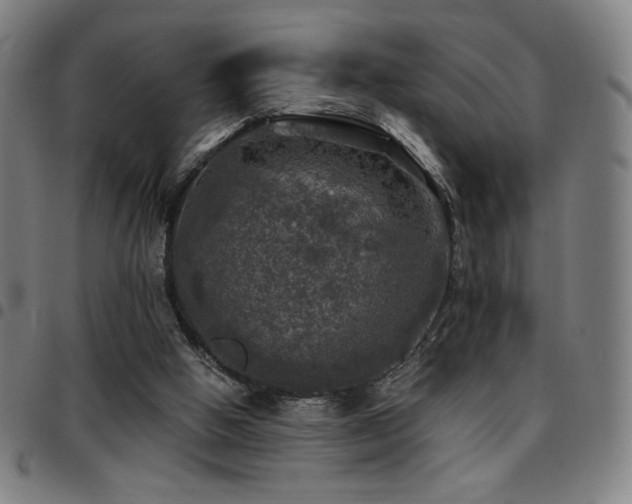 X0000097790058200803071421