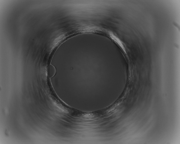 X0000097790059200803071421