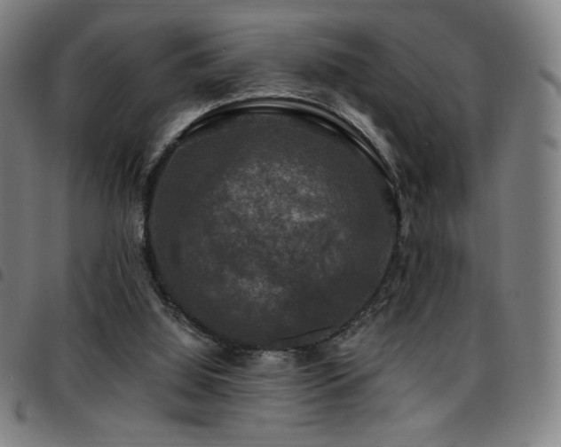 X0000097790060200803071421