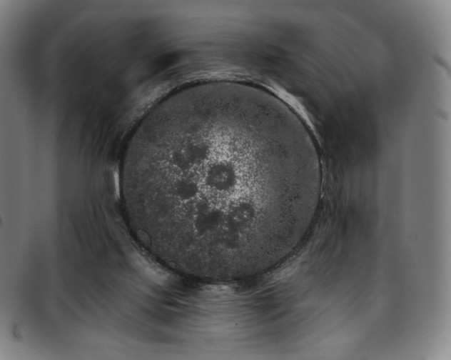 X0000097790061200803071421