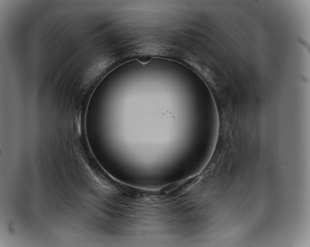X0000097790062200803071421