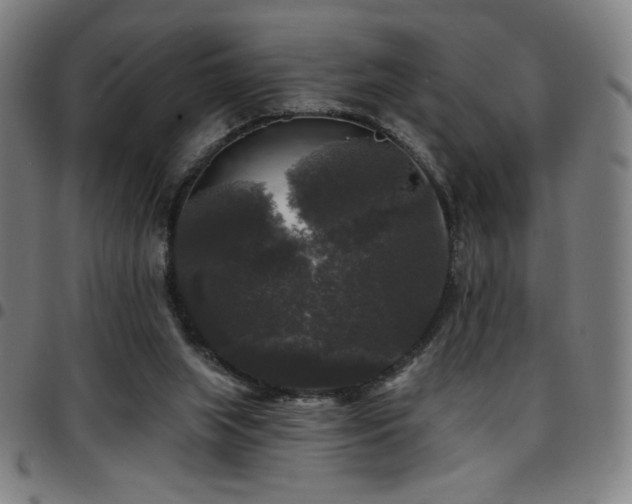 X0000097790063200803071421
