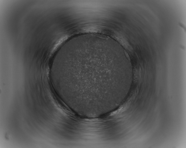 X0000097790064200803071421