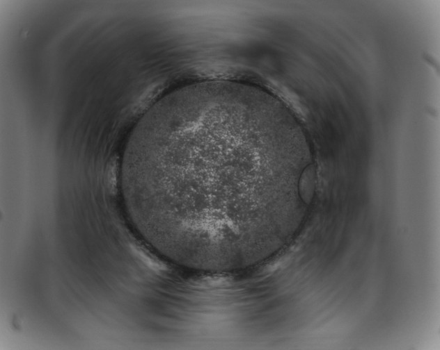 X0000097790065200803071421