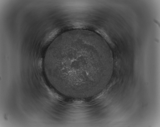 X0000097790066200803071421