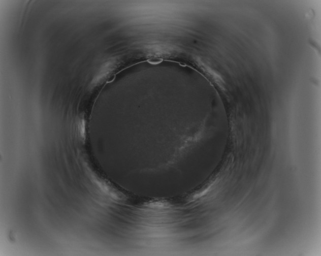 X0000097790067200803071421