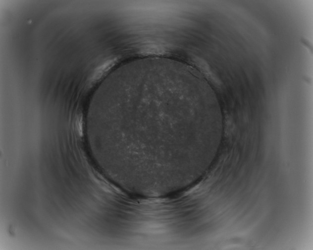 X0000097790068200803071421