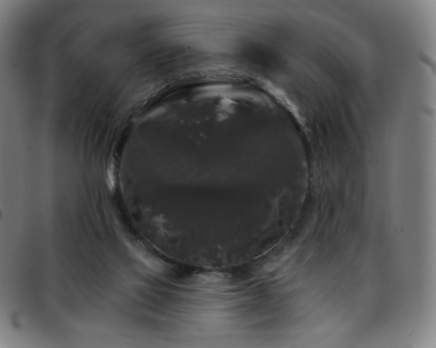 X0000097790069200803071421