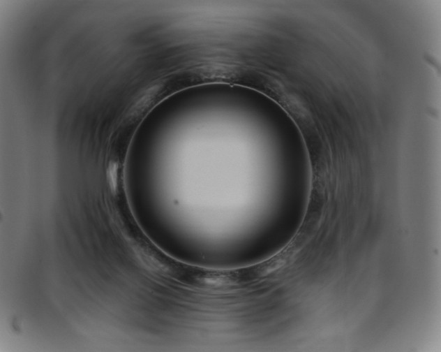 X0000097790070200803071421