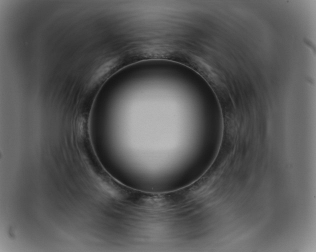 X0000097790071200803071421