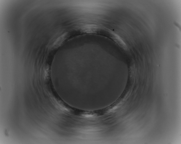 X0000097790073200803071421
