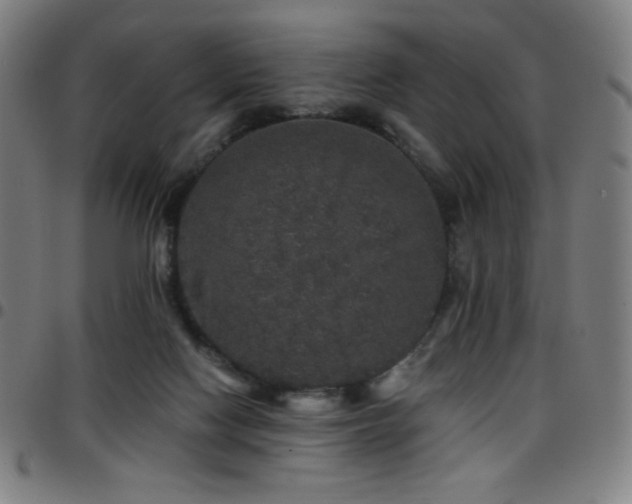 X0000097790074200803071421