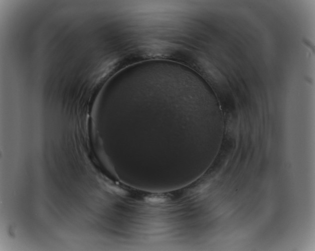 X0000097790076200803071421