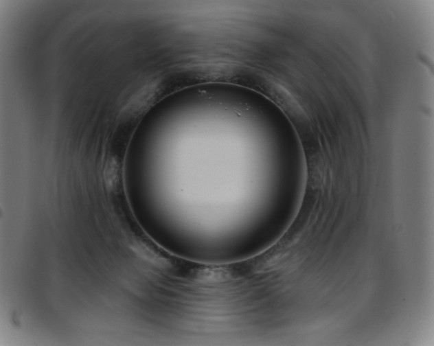 X0000097790077200803071421