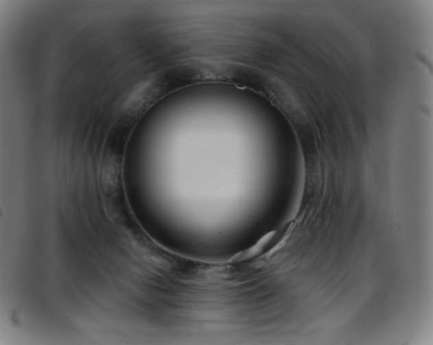 X0000097790078200803071421