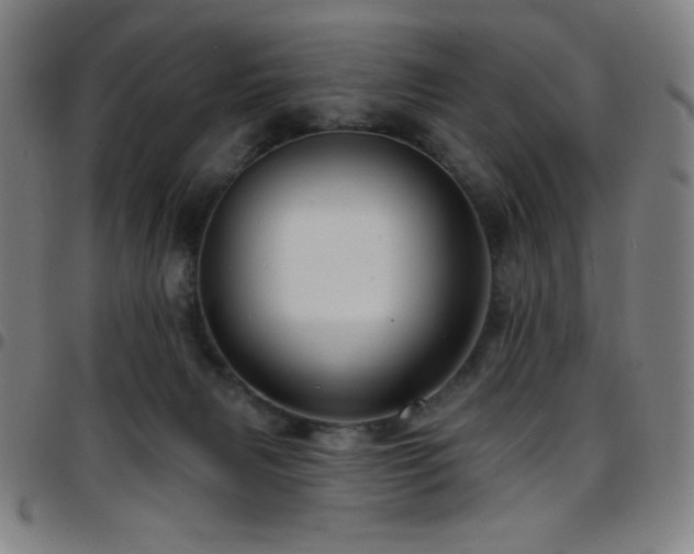 X0000097790079200803071421