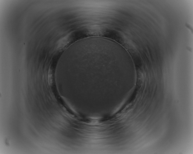 X0000097790080200803071421