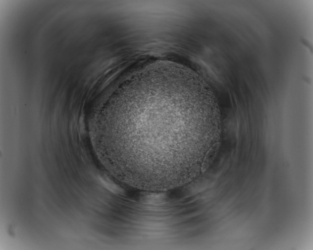 X0000097790081200803071421