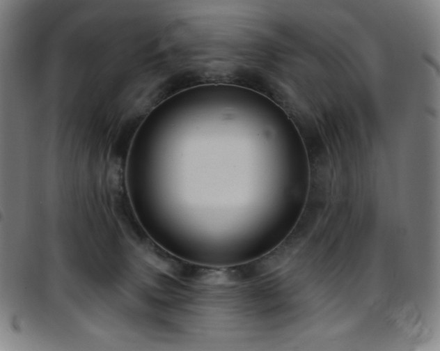X0000097790083200803071421