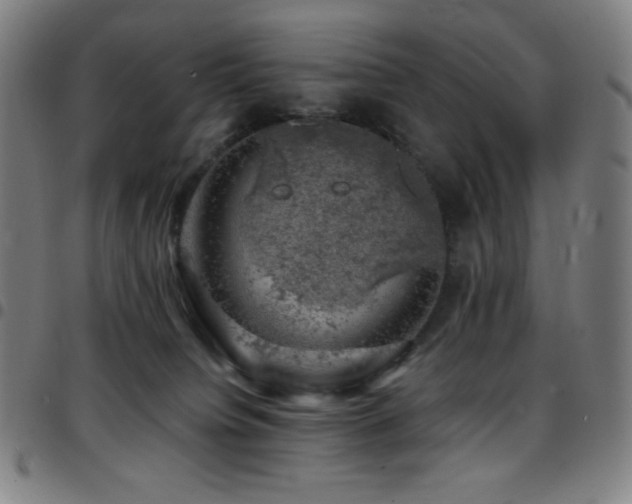 X0000097790084200803071421