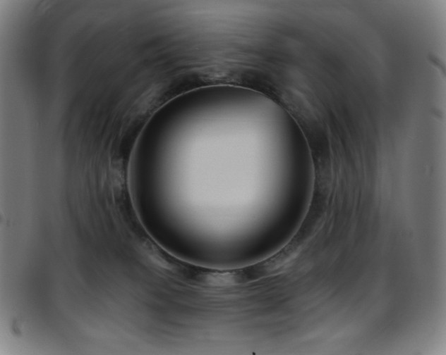 X0000097790085200803071421