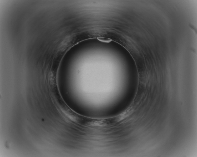 X0000097790086200803071421