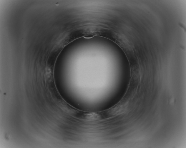 X0000097790087200803071421