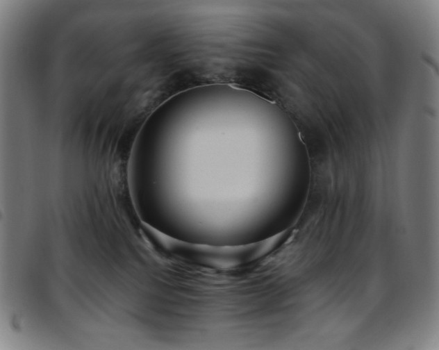 X0000097790088200803071421