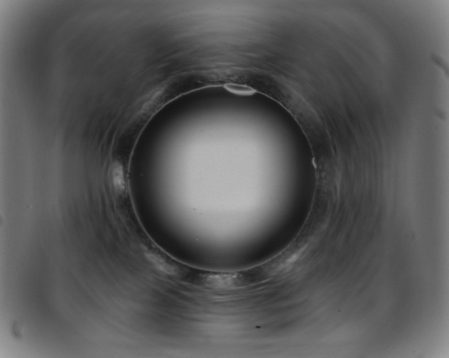 X0000097790089200803071421