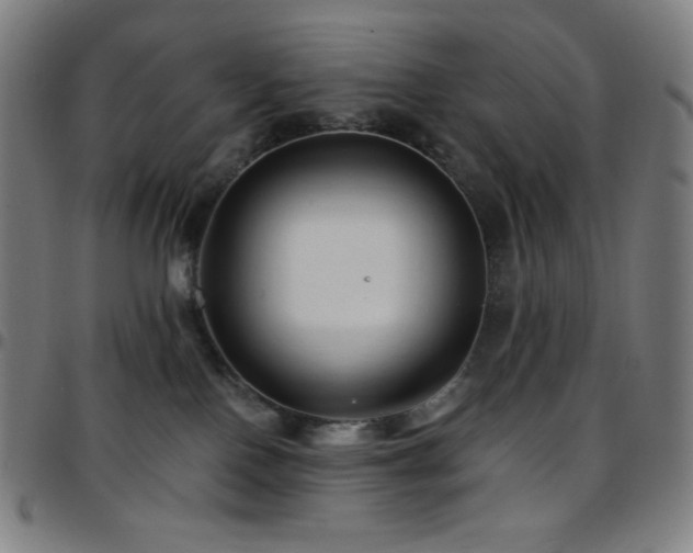 X0000097790090200803071421