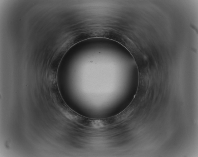 X0000097790091200803071421