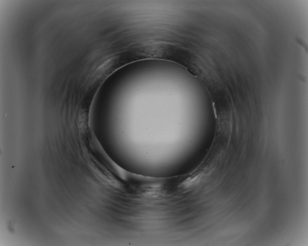 X0000097790092200803071421