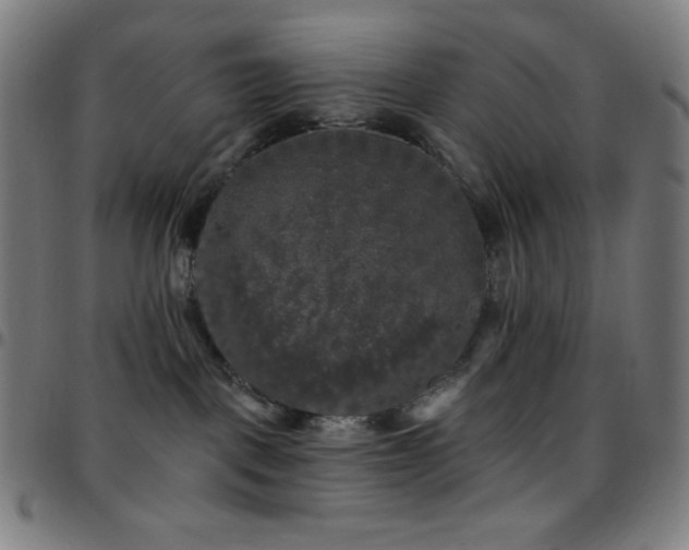 X0000097790093200803071422