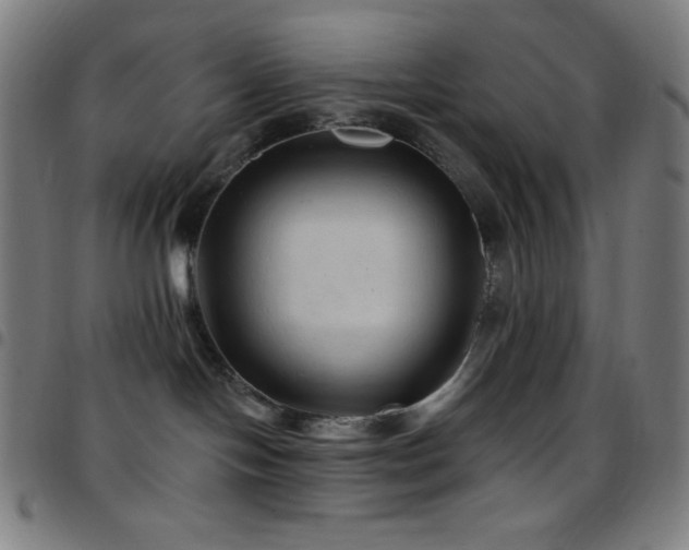 X0000097790094200803071422
