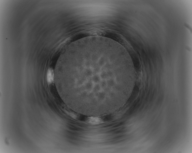 X0000097790095200803071422