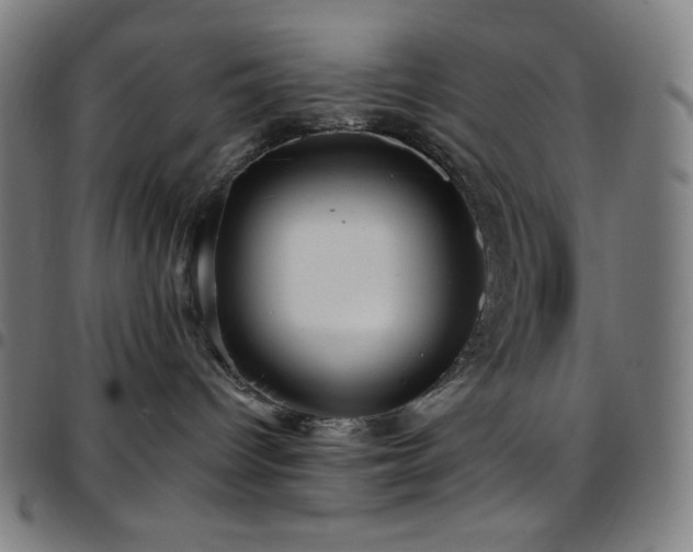 X0000097790096200803071422