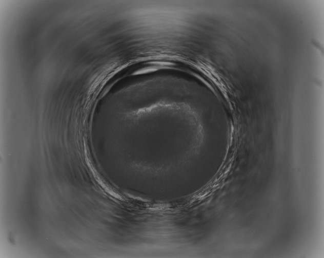 X0000097790097200803071421