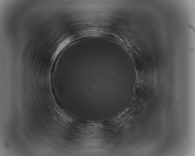 X0000097790099200803071421