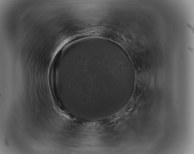 X0000097790100200803071421