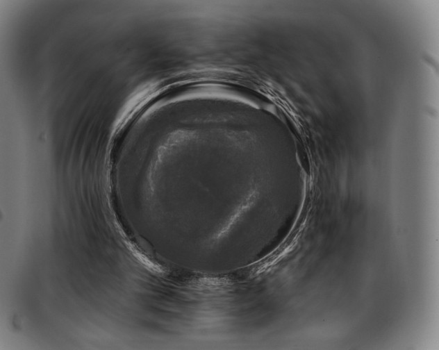 X0000097790101200803071421