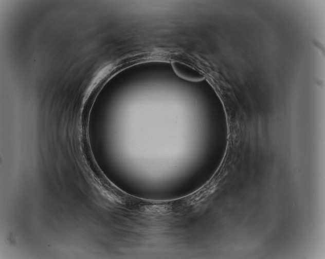 X0000097790102200803071421