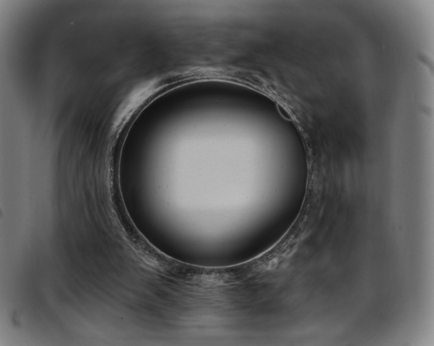 X0000097790103200803071421