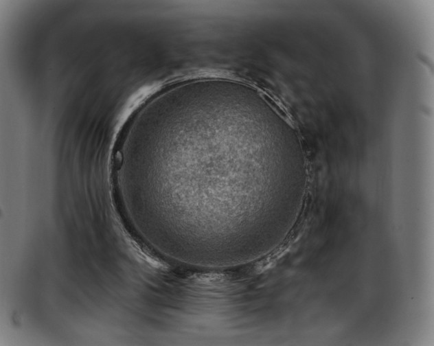 X0000097790104200803071421