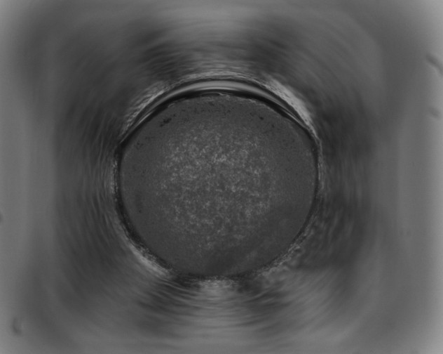 X0000097790105200803071421