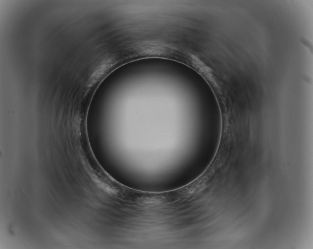 X0000097790106200803071421