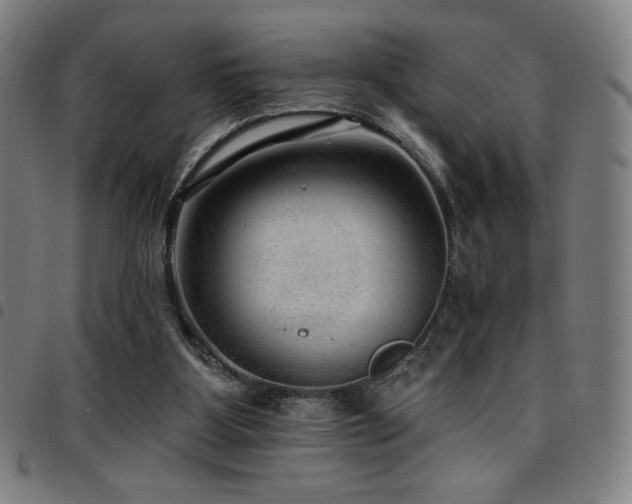 X0000097790107200803071421